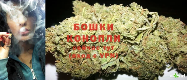 трава Богородицк