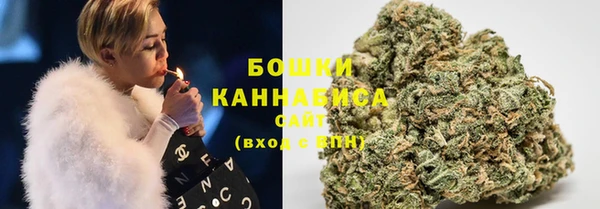 сатива Белоозёрский