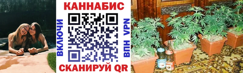 Конопля SATIVA & INDICA  Видное 